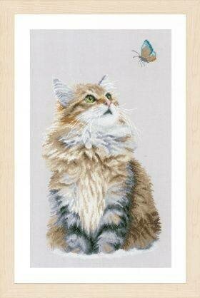 PN-0171041 Forest cat