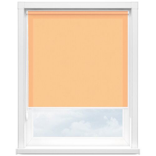 Рулонная штора Плейн 