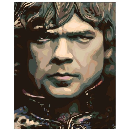 фото Картина по номерам, 60 x 75, ktmk-03218, "живопись по номерам", набор для раскрашивания, раскраска