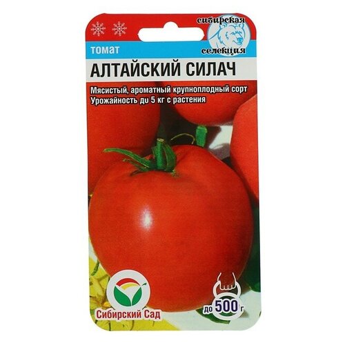Семена Томат 'Алтайский силач', среднеспелый, 20 шт семена томат алтайский силач среднеспелый 20 шт 10 упаковок