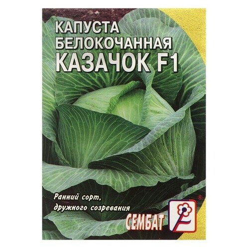 Семена Капуста белокачанная Казачок F1, 0,1 г семена капуста белокачанная казачок f1 0 25 г