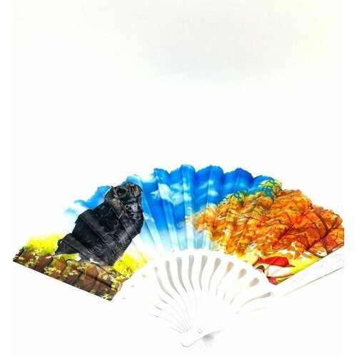 Складной веер с пластиковым основанием и рисунком 