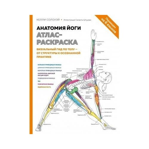 фото Эксмо анатомия йоги: атлас-раскраска. визуальный гид по телу — от структуры к осознанной практике. солоуэй к.