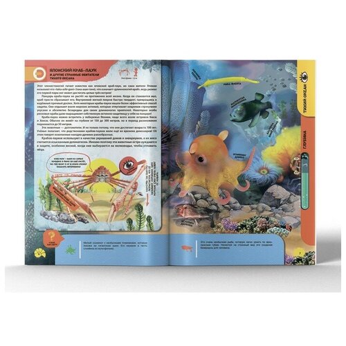 Энциклопедия 4D в дополненной реальности «Подводные жители»