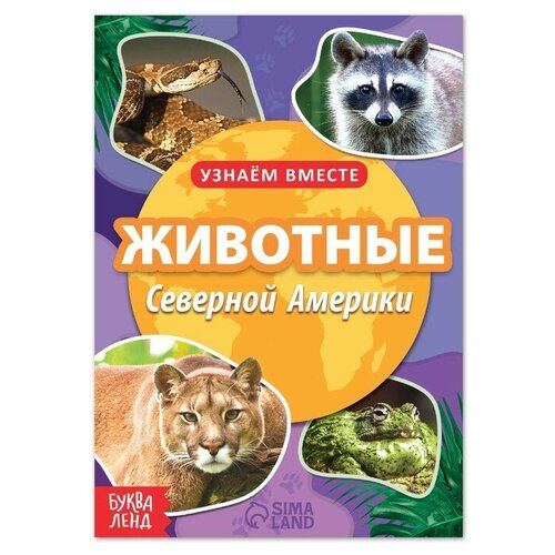 Обучающая книга «Животные Северной Америки», 20 стр. животные северной америки