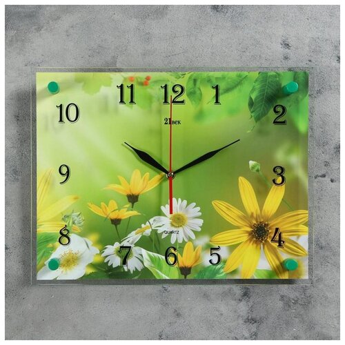 фото Часы настенные, серия: цветы, "ромашки", 30х40 см микс 2268026 . 21 век