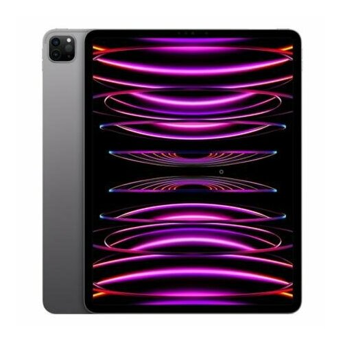 Apple iPad Pro 11 2022, 256 ГБ, Wi-Fi + Cellular, iPadOS, space gray