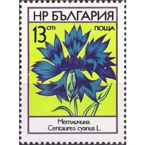(1973-028) Марка Болгария Василек  Полевые цветы III Θ