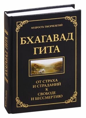 Бхагавад гита. От страха и страданий к свободе и бессмертию - фото №2