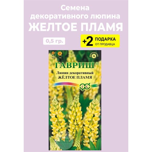Семена Люпин декоративный 