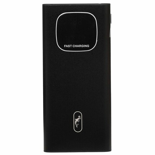 Внешний аккумулятор - SKYDOLPHIN SP310 10000мАч 2USB Type-C черный 1 шт 235900₽