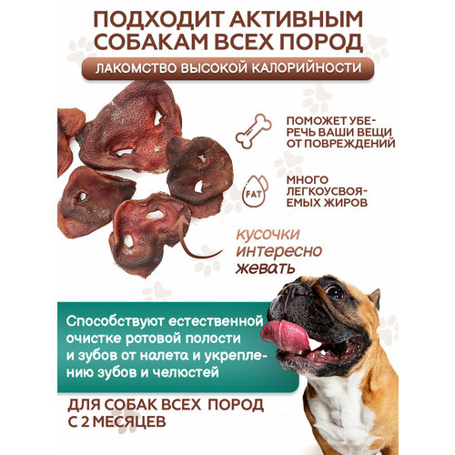 Серый Волк лакомство для собак Пятачок свиной сушеный 400 гр