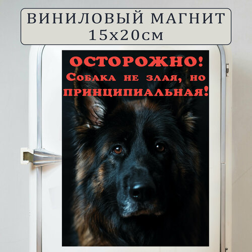 Магнит на холодильник Осторожно собака не злая но принципиальная (20 см х 15 см) вариант 8 Сувенирный магнит Подарок Декор интерьера