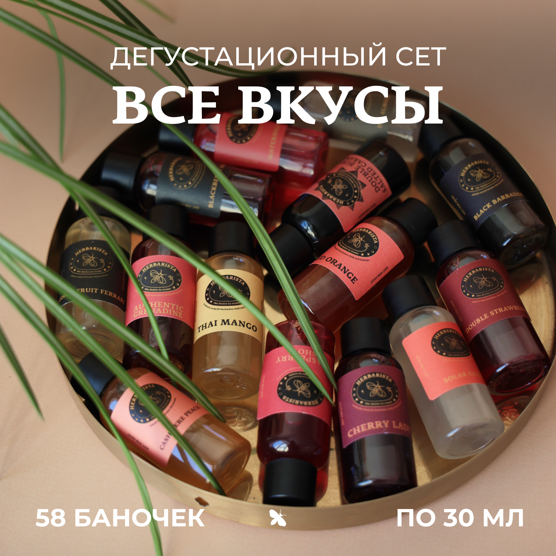 Набор сиропов Herbarista, Дегустационный сет "Все вкусы" (58 шт. / 30 мл)