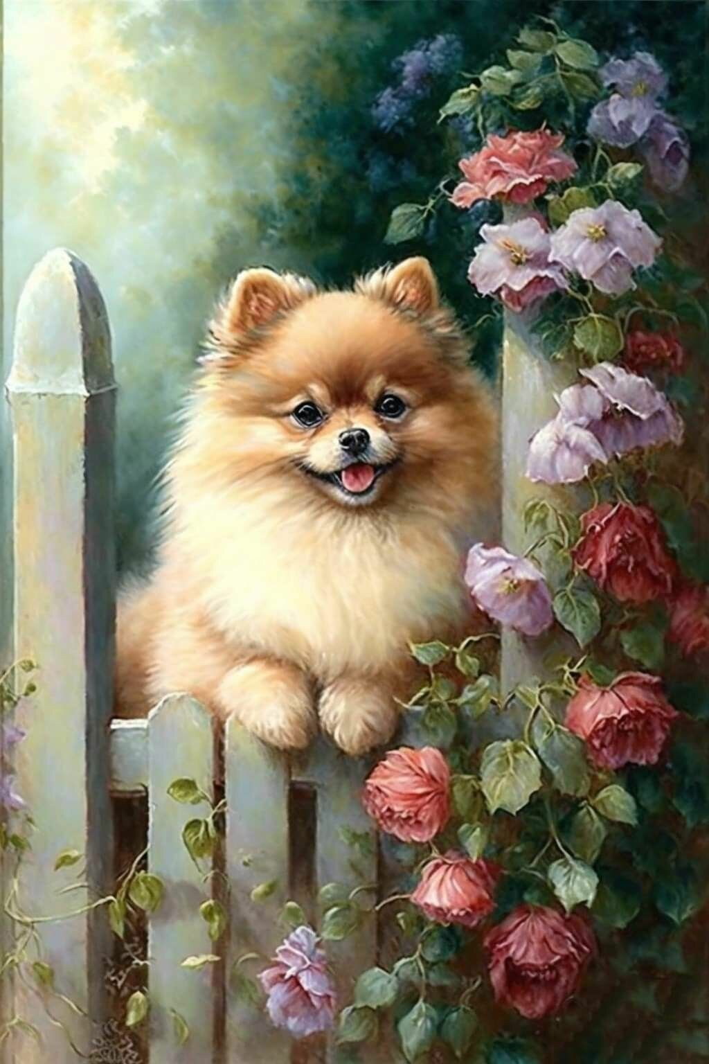 Алмазная мозаика на подрамнике 40x50 см. BoomBoomShop. "Шпиц за забором в цветах"