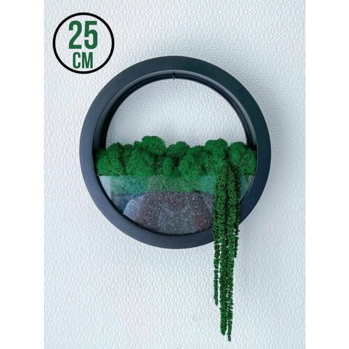 Настенное кашпо со мхом 3300₽
