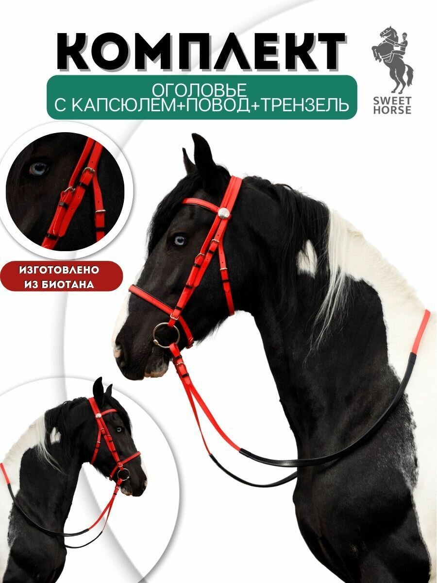Sweethorse / Оголовье с капсюлем + повод + трензель, красный