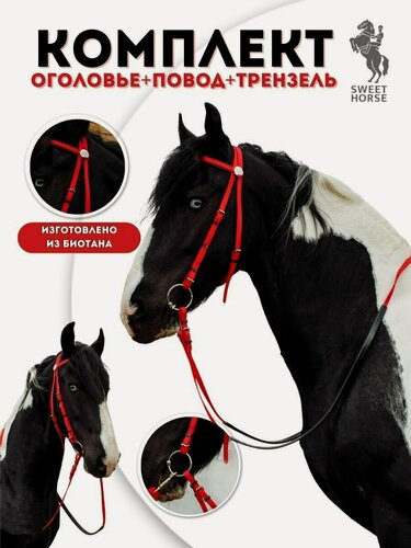 Изображение товара Sweethorse / Комплект - Оголовье + повод + трензель, красный