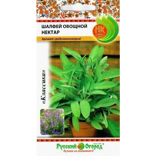 Семена Шалфей Овощной нектар