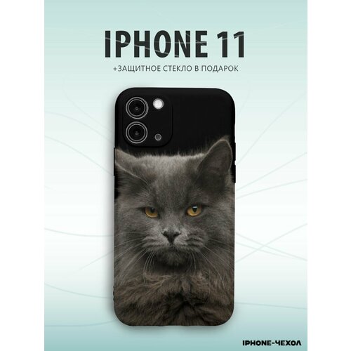 Чехол Iphone 11 кот