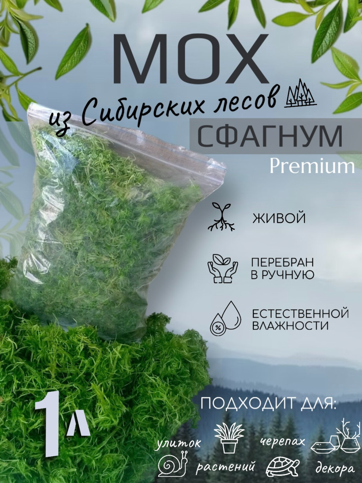 Мох сфагнум живой