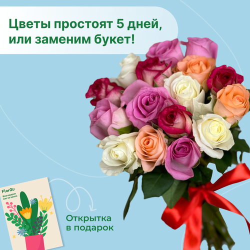 Букет живых цветов из 15 розы микс 35 см с лентой