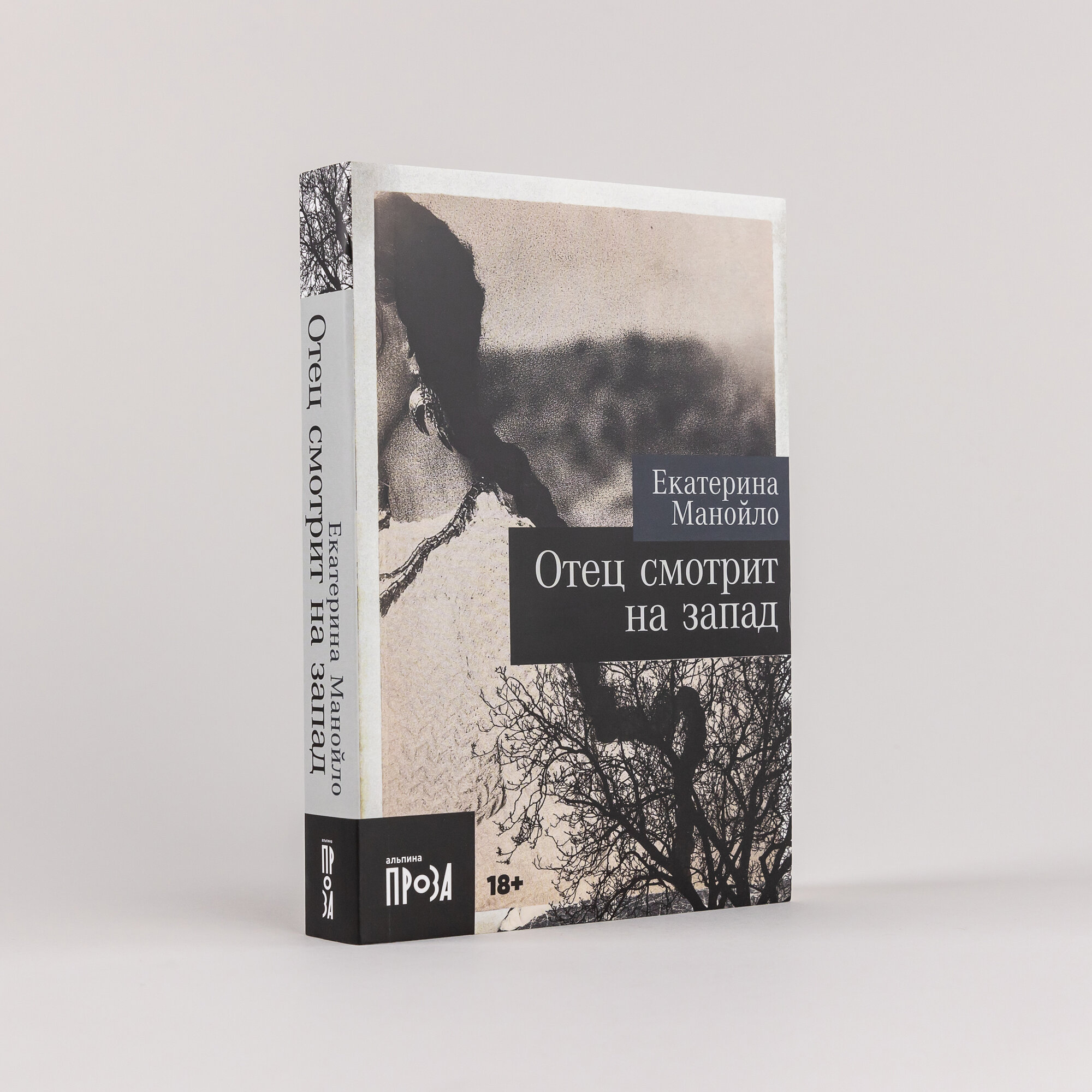 Книга "Отец смотрит на запад" / Альпина. Проза / Книги романы / Литература | Манойло Екатерина