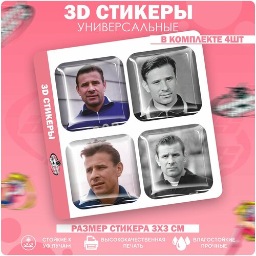 чехол на паспорт лев яшин 3D стикеры 3д наклейки на телефон Лев Яшин