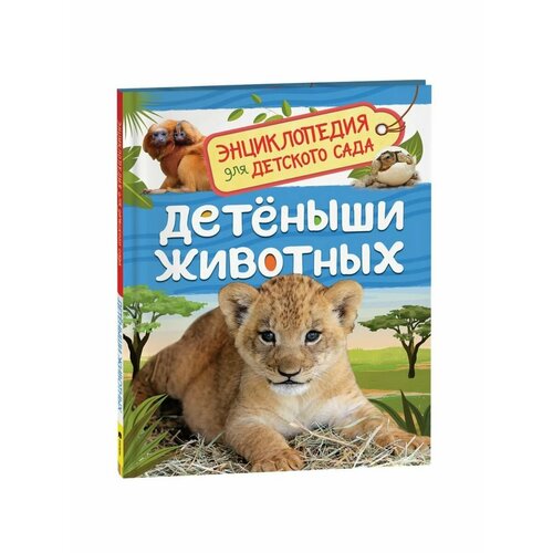 Энциклопедии клюшник л травина и черненко г шумеева с большая энциклопедия малыша