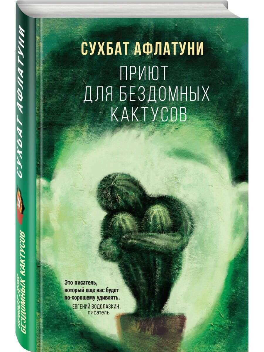 Приют для бездомных кактусов
