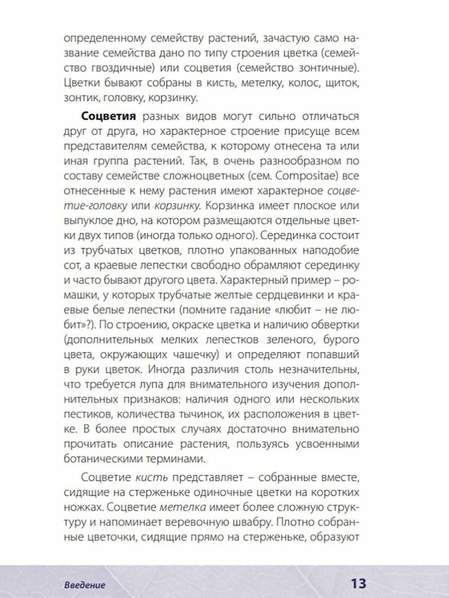 Лечебные травы. Иллюстрированный справочник-определитель - фото №20