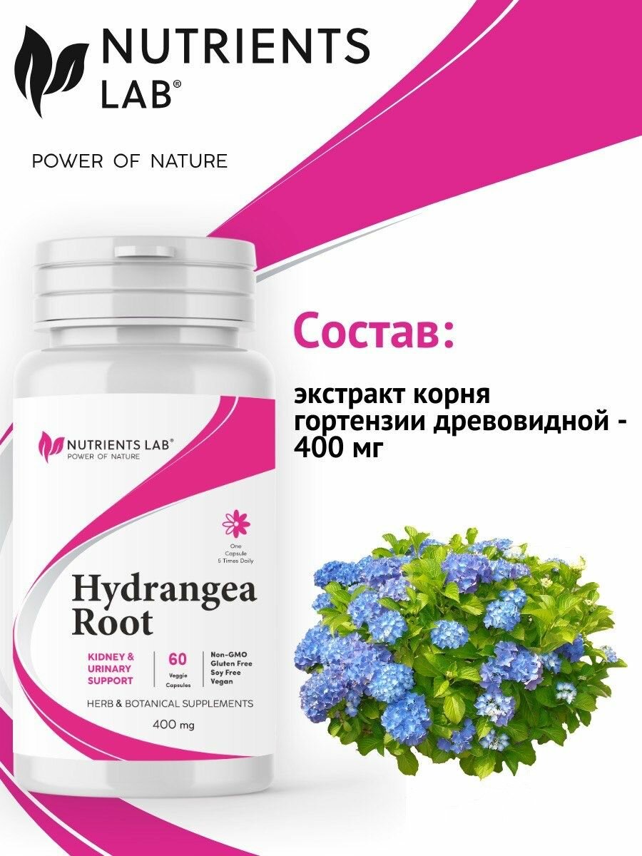 Бад Для Мочеполовой Системы БАД "Гортензия TSN Nutrients Lab", для почек, мочегонное, 60 капсул