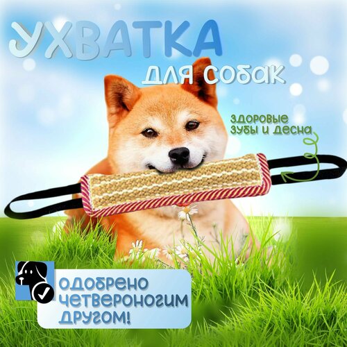 Ухватка, перетяжка, грызак для собак