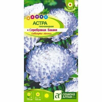 Семена астры Семена Алтая 
