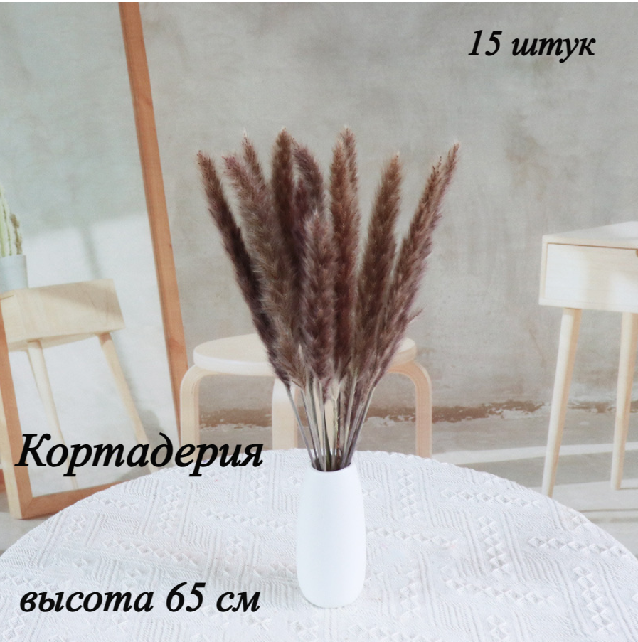 Пампасная трава натуральная 15 веток, сухоцветы натуральные стабилизированные, букет для декора, композиция из цветов