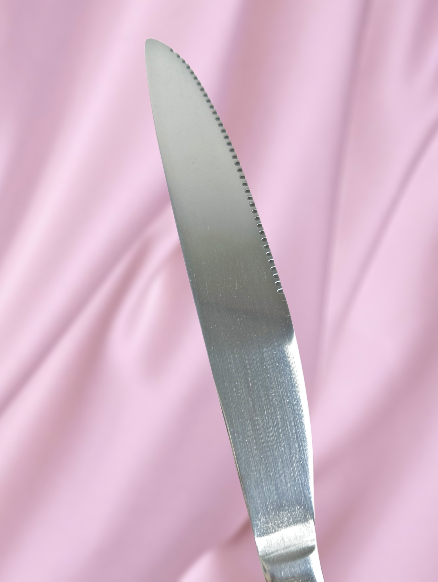 Набор столовых ножей нержавеющая сталь 22 см.