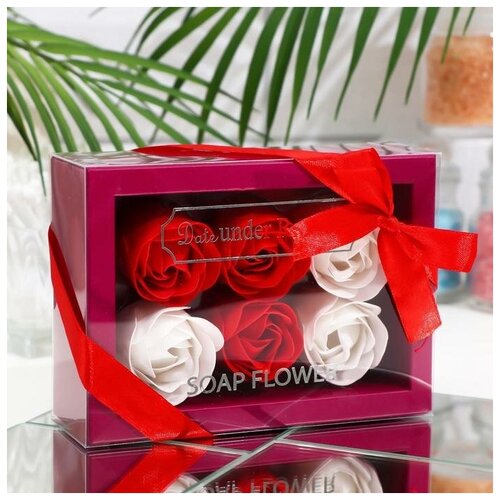 Набор роз в картонной коробке 6 штук, белые и красные
