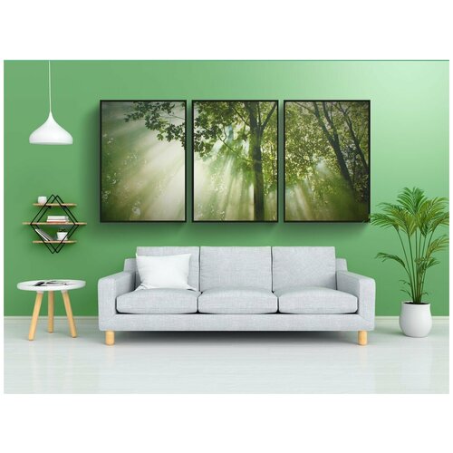 фото Набор модулных постеров для интерьера "лес, деревья, природа" 60x90 см. в тубусе, без рамки lotsprints