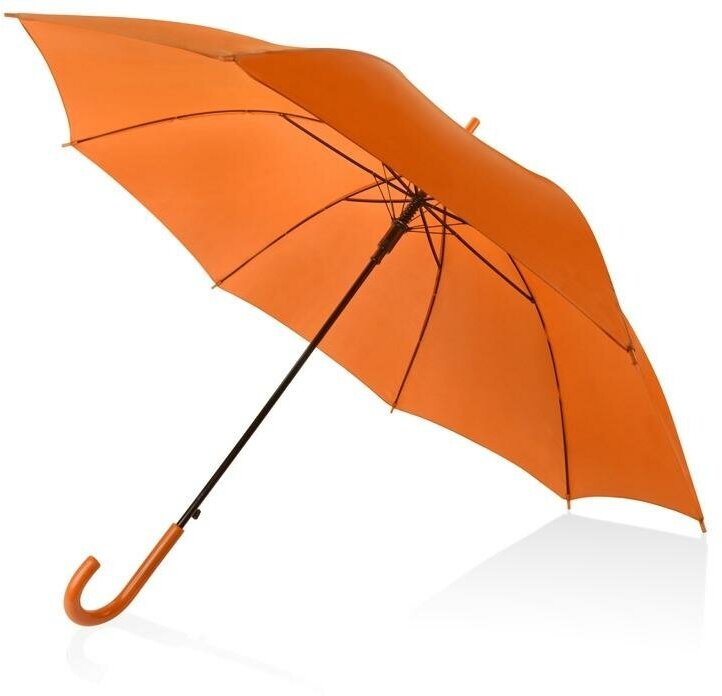 Зонт-трость Radel