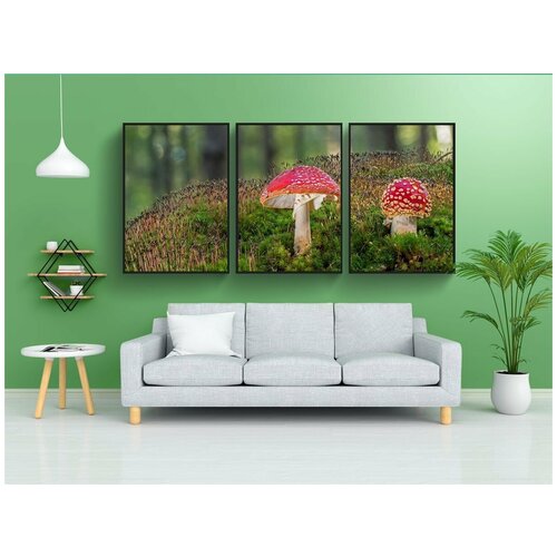 фото Набор модулных постеров для интерьера "поганка, гриб, ядовитый" 60x90 см. в тубусе, без рамки lotsprints