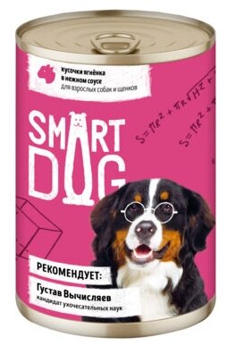 Smart Dog консервы Консервы для взрослых собак и щенков кусочки ягненка в нежном соусе 22ел16 43734 0,4 кг 43734 (2 шт)