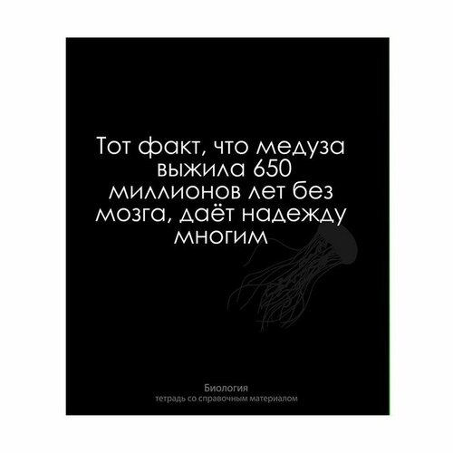 Тетрадь предметная На Чёрном 48 листов в клетку Биология, со справочным материалом, обложка мелованый картон, УФ-лак, блок офсет, 2 штуки тетрадь предметная на чёрном 48 листов в клетку биология со справочным материалом обложка мелованый картон уф лак блок офсет 2 штуки