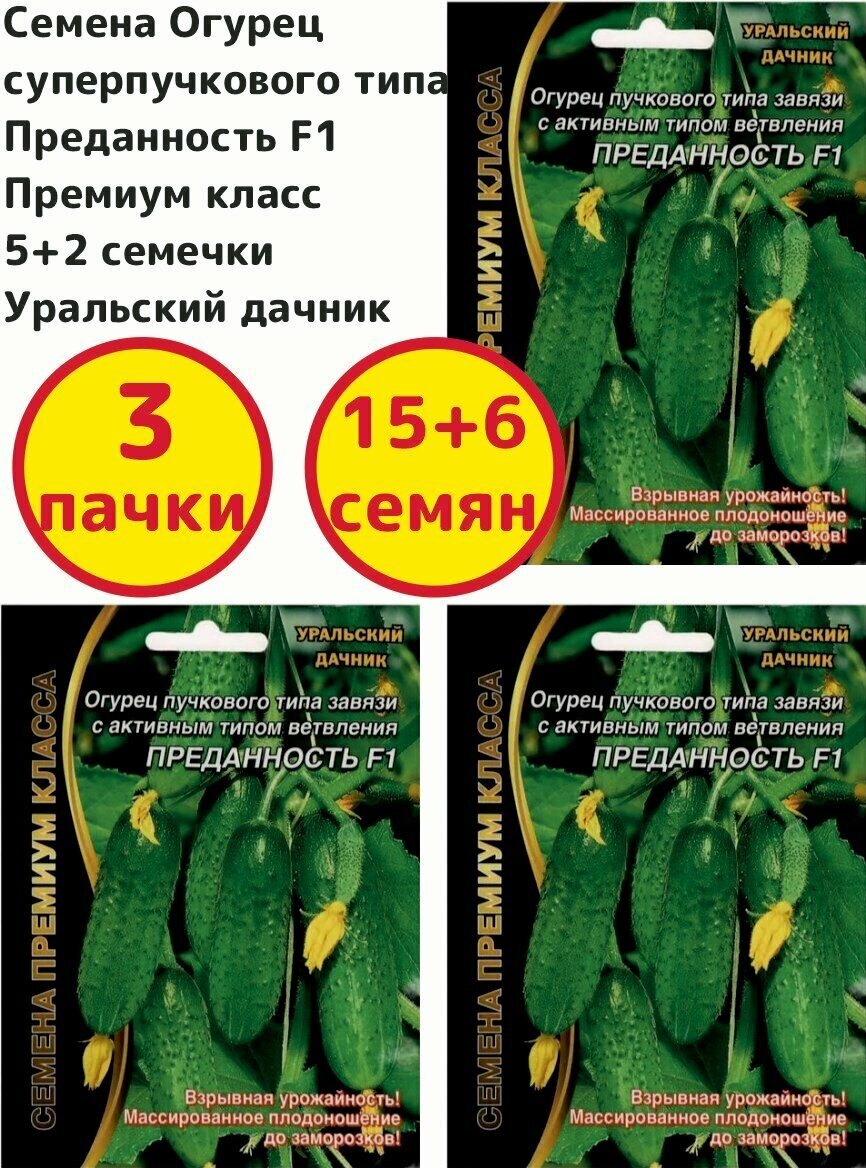 Семена Огурец супер пучкового типа Преданность F1 Премиум класс 5+2 семечки опылителя, Уральский дачник - 3 пачки