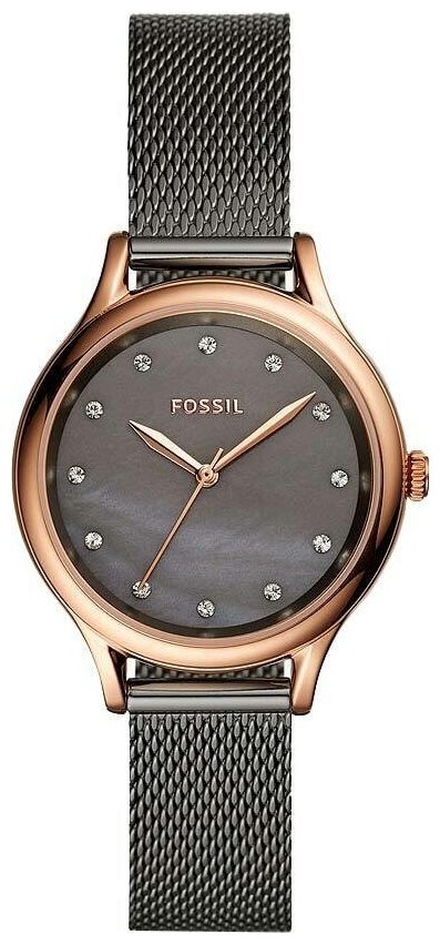 Наручные часы Fossil BQ3393 
