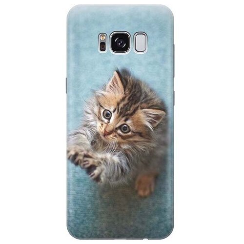 RE: PA Чехол - накладка ArtColor для Samsung Galaxy S8 с принтом Котёнок на голубом re pa чехол накладка artcolor для samsung galaxy m21 с принтом котёнок на голубом
