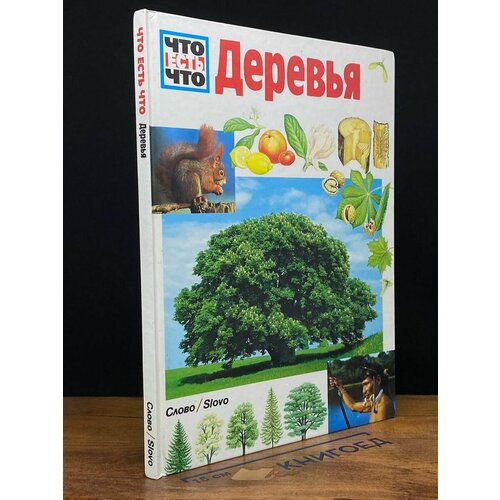 Что есть что. Деревья 1997