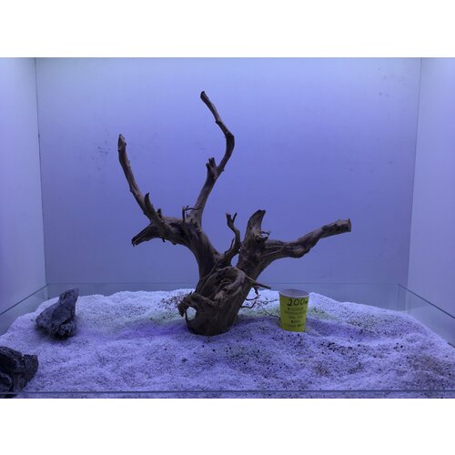 Декор аквариумные Коряга корень азалии40-80см лот 017