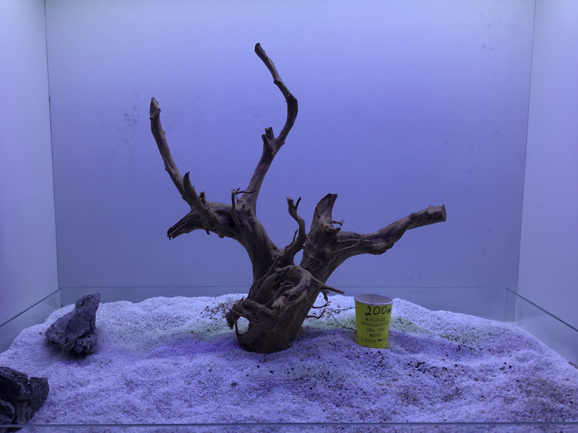 Декор аквариумные Коряга корень азалии40-80см лот 017