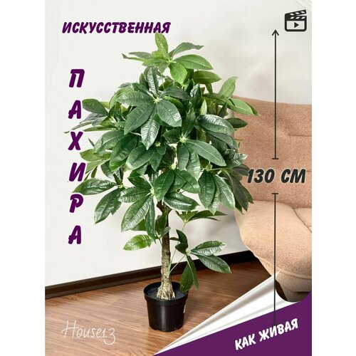 Искусственное дерево пахира