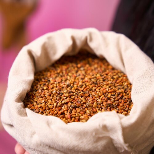 Семена кустарника Бересклета европейского, подходит для бонсай, 2 грамма (примерно 40 шт)